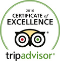 Trip Advisor - Certificate of Excellence